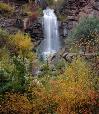 Autumn north of Durango, Colorado.