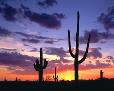 Desert sunset north of Phoenix.