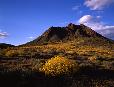 Gavilan Peak near New River. Jerry & Lois were raised on neighboring ranches near this area.