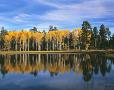 “Autumn Reflection.” Mogollon Rim.