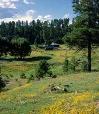 Historic Brookbank Canyon Ranch atop the Mogollon Rim. Jerry & Lois purchased this Ranch in 1994 and have since retired there.