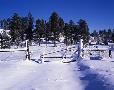 High country in winter, eastern Arizona.