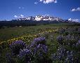 Wilson Mesa near Telluride Colorado.