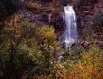 Autumn north of Durango, Colorado.