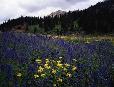 Red Mountain Pass between Silverton & Ouray, Colorado.