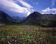 In the San Juan Rockies near Ouray, Colorado.