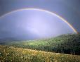 In the La Plata Mountains northeast of Mancos, Colorado.