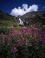 Yankee Boy Basin near Ouray, Colorado; Twin Falls in the background.