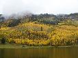 Along Highway 550 north of Durango, Colorado.