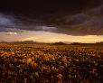 Along State Route 14, looking south toward Cerrillos and Ortiz Mountains, south of Santa Fe, New Mexico.