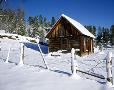 On the Mogollon Rim west of Heber, Arizona.