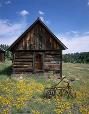 Remnants of bygone days on the Mogollon Rim, Arizona.