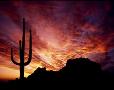 Sunset at the Boulders Resort near Carefree, Arizona.